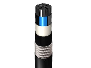 مدل(سه) NA2XRY     IEC 60502-1     0.6/1 kV